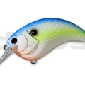 #17 Sexy Shad