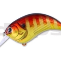 #23 Red Gill