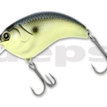 #24 Black Back Mustard