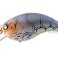 Soft Shell Claw
