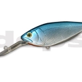 #03 Blue Shad