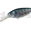 #13 Florida Blue