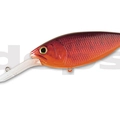 #16 Redly Bass
