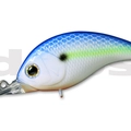 #35 Sexy Shad ver2