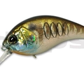 #30 Prism Gill