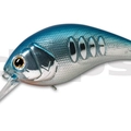#40 Blue Shad