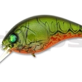 #43 Watermelon Claw