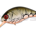 #44 Orange Belly Claw