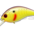 #45 Purple Mustard