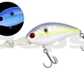 #02 Sexy Shad
