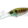 #35 Prism Gill