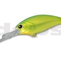 #03 Lime Back