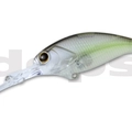 #17 Sexy Shad