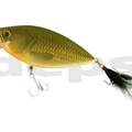#05 Gold Carp