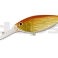#18 Gold Fish