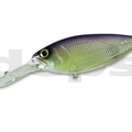 #25 Purple Shad