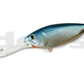 #03 Blue Shad