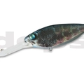 #13 Florida Blue