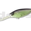 #25 Purple Shad
