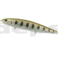 #107 Salmon Fry