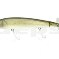 #02 Wild Carp Glitter