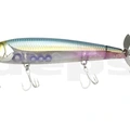 #10 Blue Back Herring