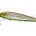 #23 Grass Belly Shiner