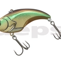 #01 Golden Shiner