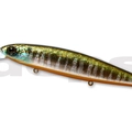 #35 Prism Gill