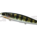#36 Real Flash Gill