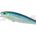 #90 Blue Shad