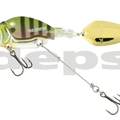 #04 Bluegill