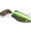 #13 Visible Green