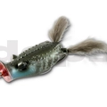 Bluegill