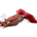 Red Perch