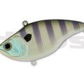 #04 Blue Smoke Gill