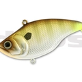 #06 Glitter Gill