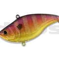 #07 Red Gill