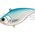 #13 Blue Shad