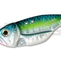#11 Sexy Shad