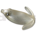 #16 Glass Cat