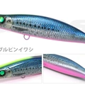 #10 Blue Pink Iwashi